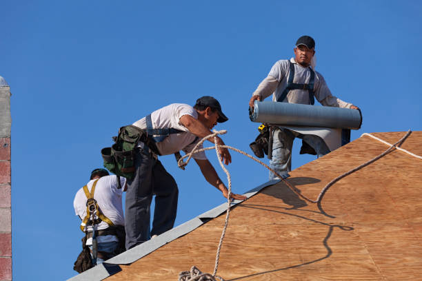 Best Metal Roofing Contractor  in Sioux Center, IA